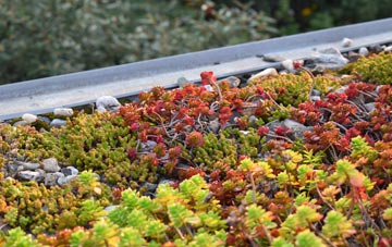 the cost of Hull End green roof installation