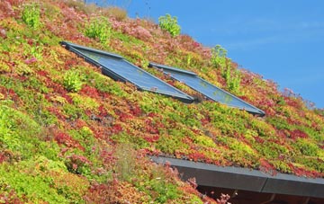 Hull End living roof systems